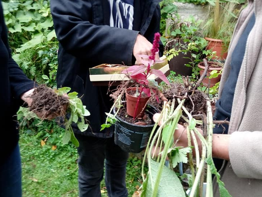 Troc dans le jardin de Graine de Jardinier