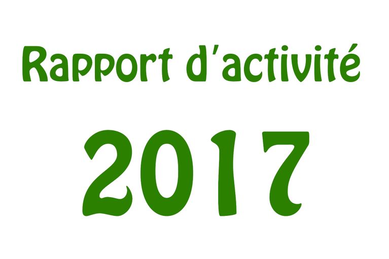 Rapport d'activité 2017