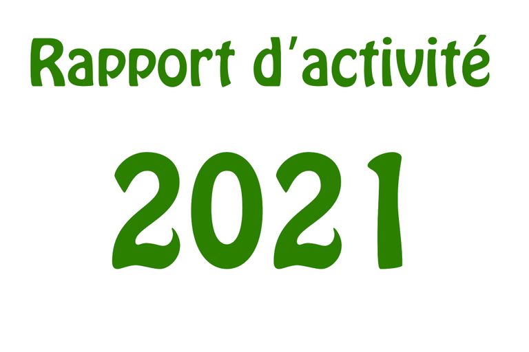 Rapport d'activité 2021