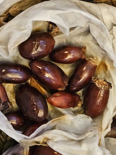 Noyaux de litchis