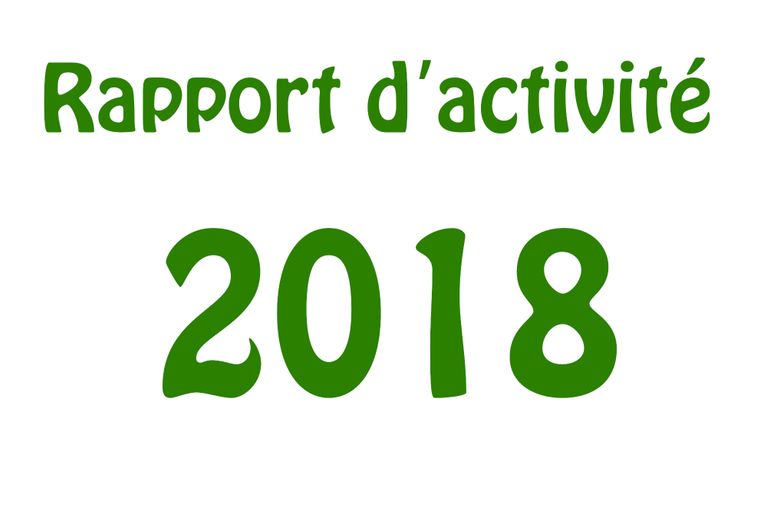 Rapport d'activité