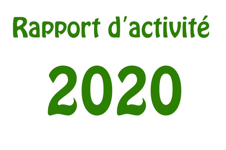 Rapport d'activité 2020