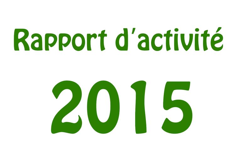 Rapport d'activité 2015