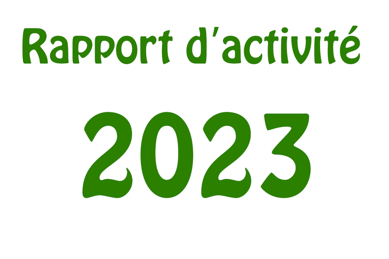 Rapport d'activité 2021