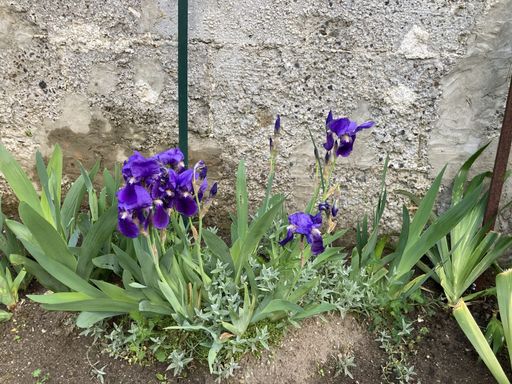 Petite annonce de Cécile