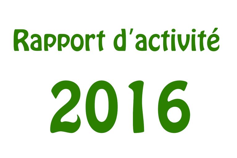 Rapport d'activité 2016