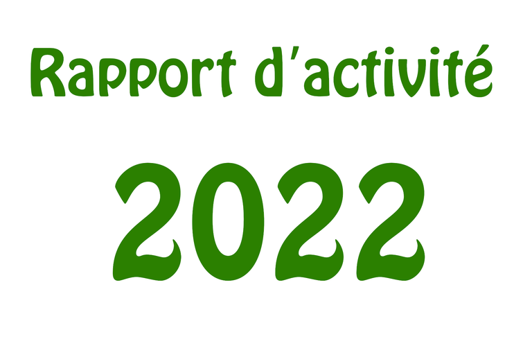 Rapport d'activité 2021