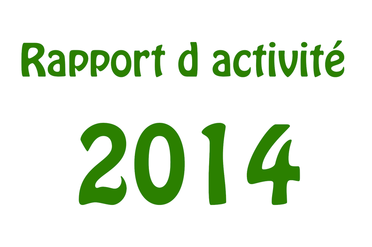 Rapport d'activité 2014
